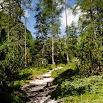 Sul sentiero n. 7 fino al rifugio Fanes