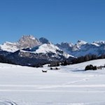 Unser Blick schweift über die weitläufigen Almwiesen auf die Raschötz und die Geisler