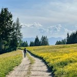Auch Mountainbiker sind auf der Rodenecker Alm anzutreffen
