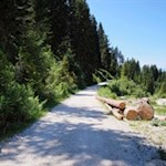 Im sanften Anstieg zur Kaserill Alm