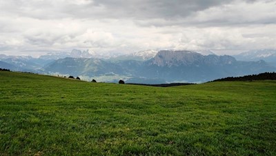 Unser Blick fällt auf den markanten Schlern