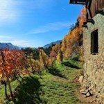 Auf dem Keschtnweg nach Villanders