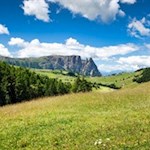 Seiser Alm vor der Kulisse des Schlern