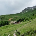 Durch sattgrüne Almwiesen zur Ochsenalm