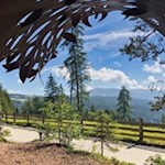 Metaphorischer Blick aus der Finsternis ins Licht