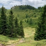 Durch Wald und Wiesen zur Laugenalm