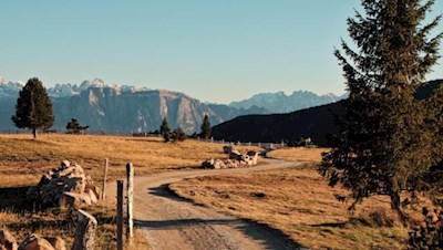Ausgedehnter Spaziergang auf der herbstlich gefärbten Villanderer Alm