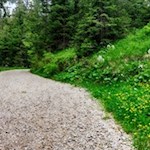 Auf dem Weg in Richtung Mittersee