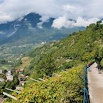 Am Tappeinerweg vermählt sich mediterrane mit alpiner Vegetation