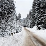 Zunächst folgen wir dem asphaltierten Karbachweg in Richtung Karbachtal 