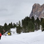 Vor der Kulisse des Peitlerkofel lädt die Halslhütte zur Einkehr