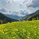 Die Wanderung zur Untertrumpedeller Schwaige führt durch eine malerische Landschaft