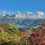 Törggelen-in-Südtirol