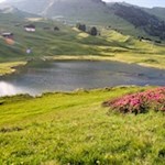 Am lauschigen Lech Sant