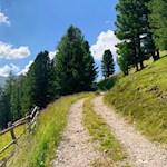 Auf breitem Wege zur Pecolhütte