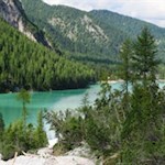 Am Südufer des Pragser Wildsees