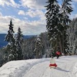 Abfahrt von der Moarhofalm