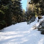 Vom Parkplatz folgt man zunächst einem breiten Wanderweg