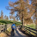 Durch malerische Lärchenwiesen zurück nach Jenesien