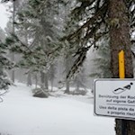 Rodelbahn Ackerboden Alm