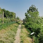 Themenweg zum Kalterer See