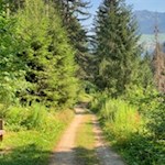 Entlang des Talweges laden Bänke zum Verweilen ein