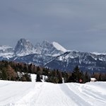 Mit-Blick-auf-die-Dolomiten-zur-Rinderplatz-Hütte