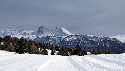 Mit Blick auf die Dolomiten zur Rinderplatz Hütte