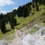 Vom Sessellift folgt man zunächst einem nahezu ebenen Weg