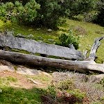 Along the path benches invite you to take a rest