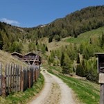 Willkommen auf der Moarhofalm