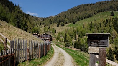 Willkommen auf der Moarhofalm