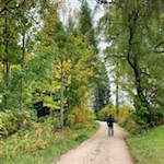 Sanft zieht sich der Wanderweg von Obereggen zum Häusler Sam