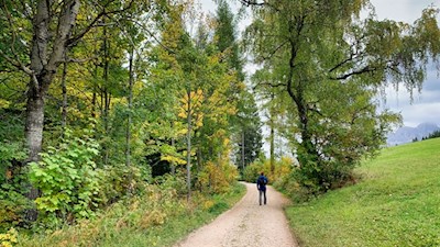 Sanft zieht sich der Wanderweg von Obereggen zum Häusler Sam