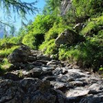 Zur Büllelejochhütte 