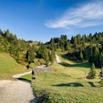 Der breite Wanderweg zur La Marmotta Hütte ist auch mit dem Kinderwagen befahrbar