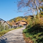 Von Signat führt ein asphaltiertes Sträßchen nach Wolfsgruben