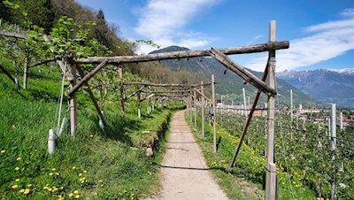 Auf dem nahezu ebenen Brandiswaalweg