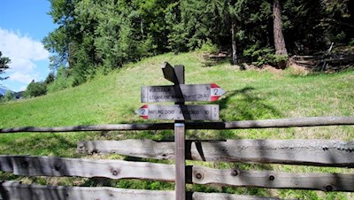 Die Wanderung zur Wurzeralm ist bestens ausgeschildert