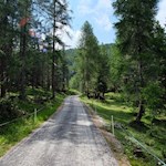Der erste Teil der Wanderung führt durch den Wald
