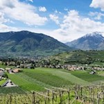 Auf dem Weg nach Schenna eröffnen sich malerische Ausblicke