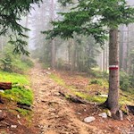 Der Anstieg zur Pichlerhütte ist gut markiert