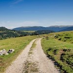 Nella piacevole salita verso Zallinger