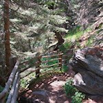 Waldweg in Richtung Koflerseen