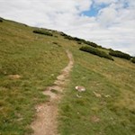 Im angenehmen Anstieg führt der Weg auf das Sattele