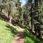 Im sanften Anstieg in Richtung Haniger Schwaige