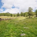 Hinter der Stumpfalm erhebt sich die Riepenspitze