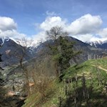 Auf dem Schenner Waalweg