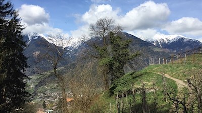 Auf dem Schenner Waalweg