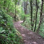 Auf dem sanften Wanderweg Nr. 1